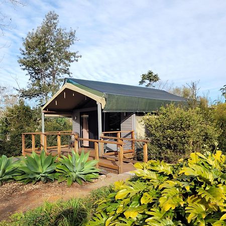 Southern Sky Glamping جبل تامبورين المظهر الخارجي الصورة
