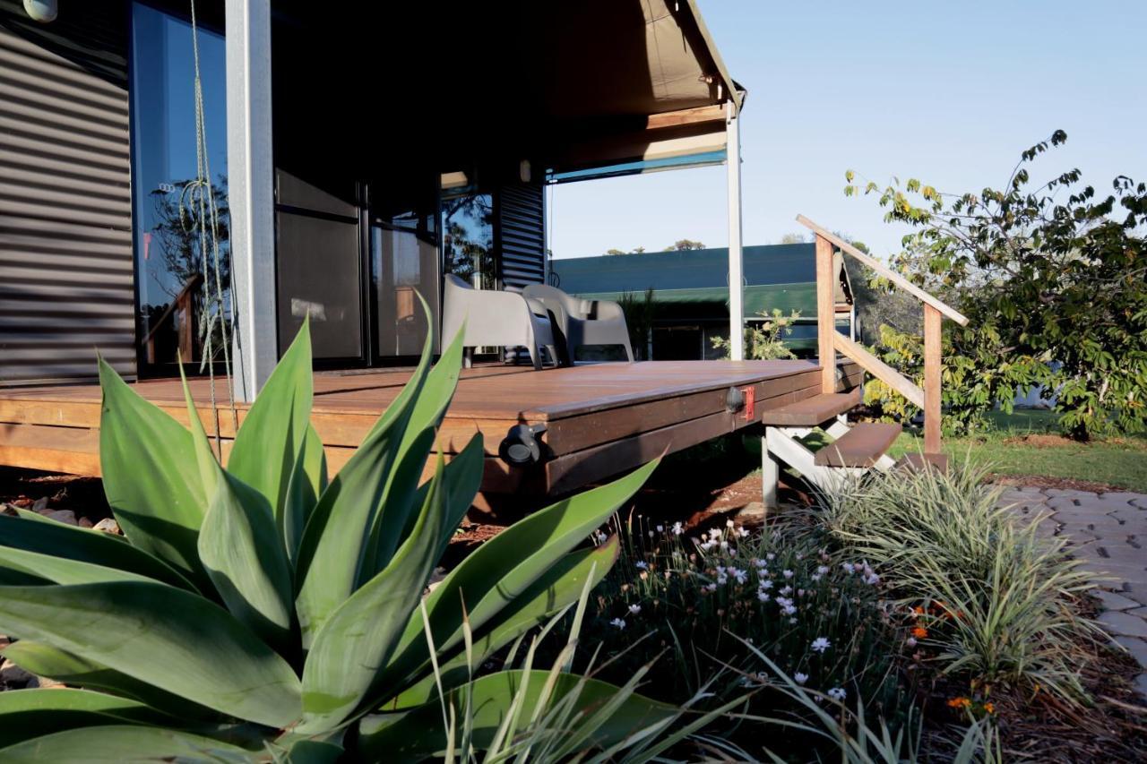 Southern Sky Glamping جبل تامبورين المظهر الخارجي الصورة